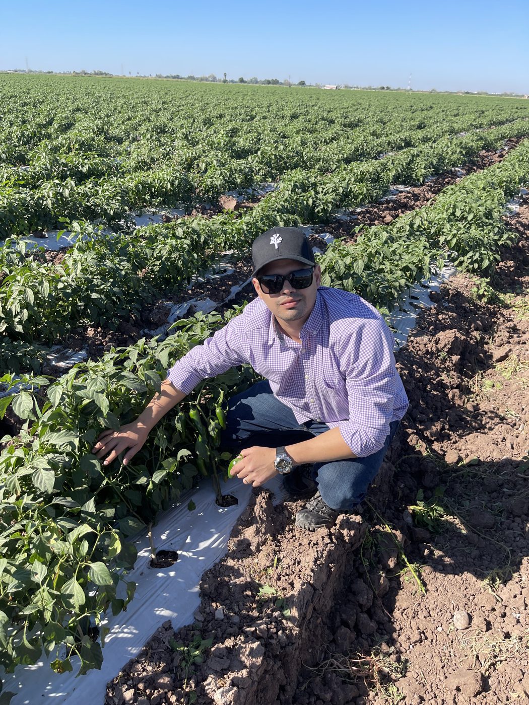 Yair revisando un cultivo